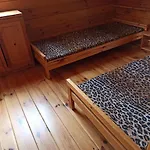 Dom wakacyjny U Wladka Sianożęty
